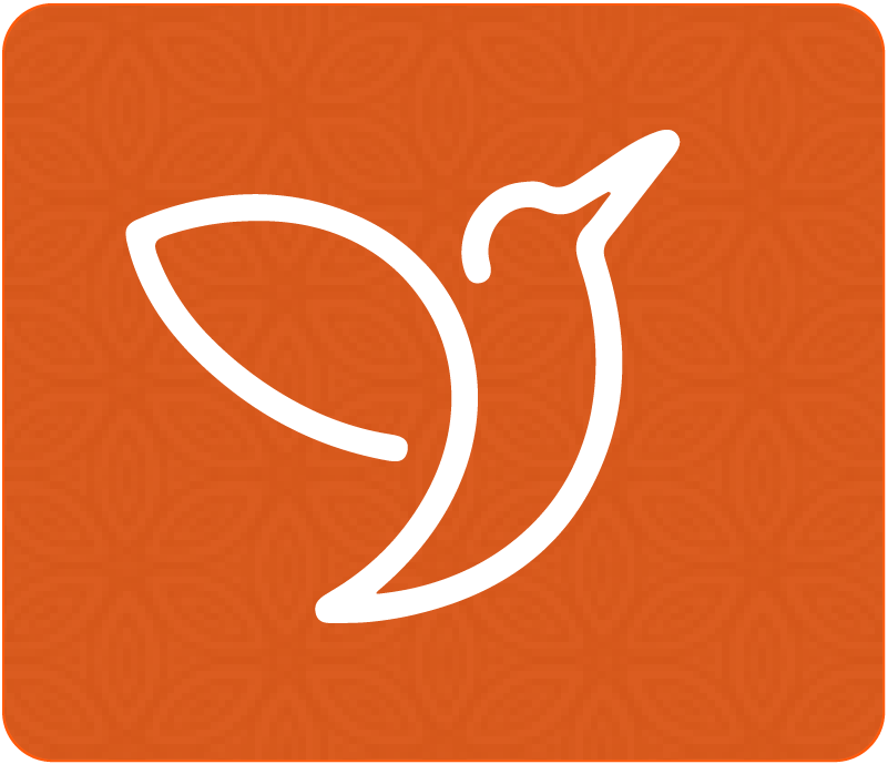 ...assessment icon