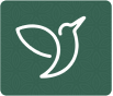 B2 Use of English | Test 1