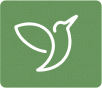 B2 Reading | Test 1